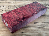 Multi-Dyed Box Elder Burl - 09/09